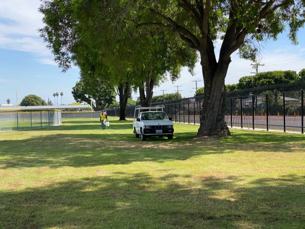 Dom Hi Nissan truck Gopher Control Service