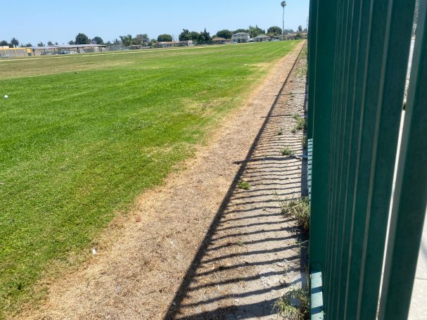 Fence Line Spraying